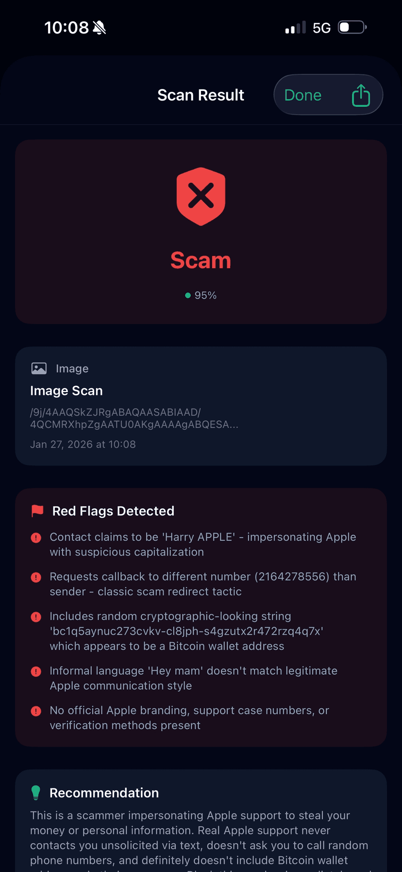 SketchyScan result showing scam detected with red flags